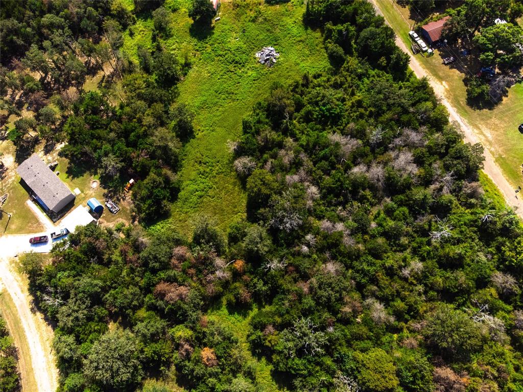 Lot 92 E Lois Lane, Somerville, Texas image 7