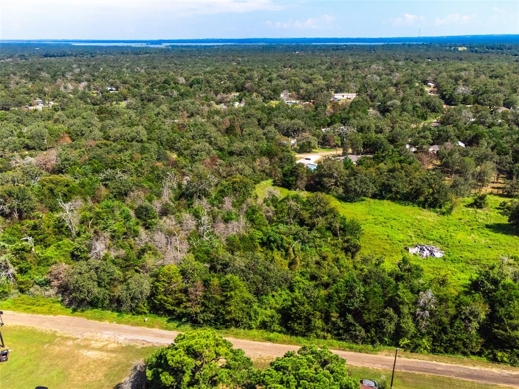 Lot 92 E Lois Lane, Somerville, Texas image 21