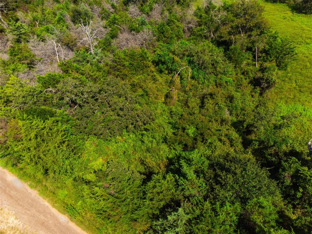 Lot 92 E Lois Lane, Somerville, Texas image 3