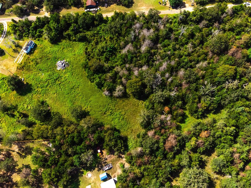 Lot 92 E Lois Lane, Somerville, Texas image 9