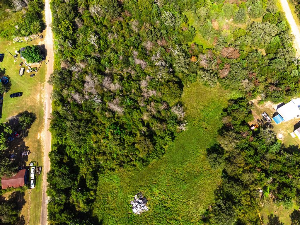 Lot 92 E Lois Lane, Somerville, Texas image 12