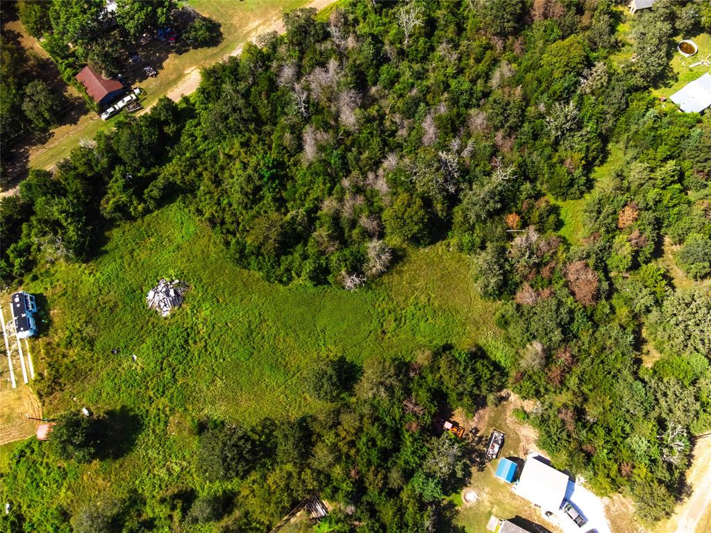 Lot 92 E Lois Lane, Somerville, Texas image 11