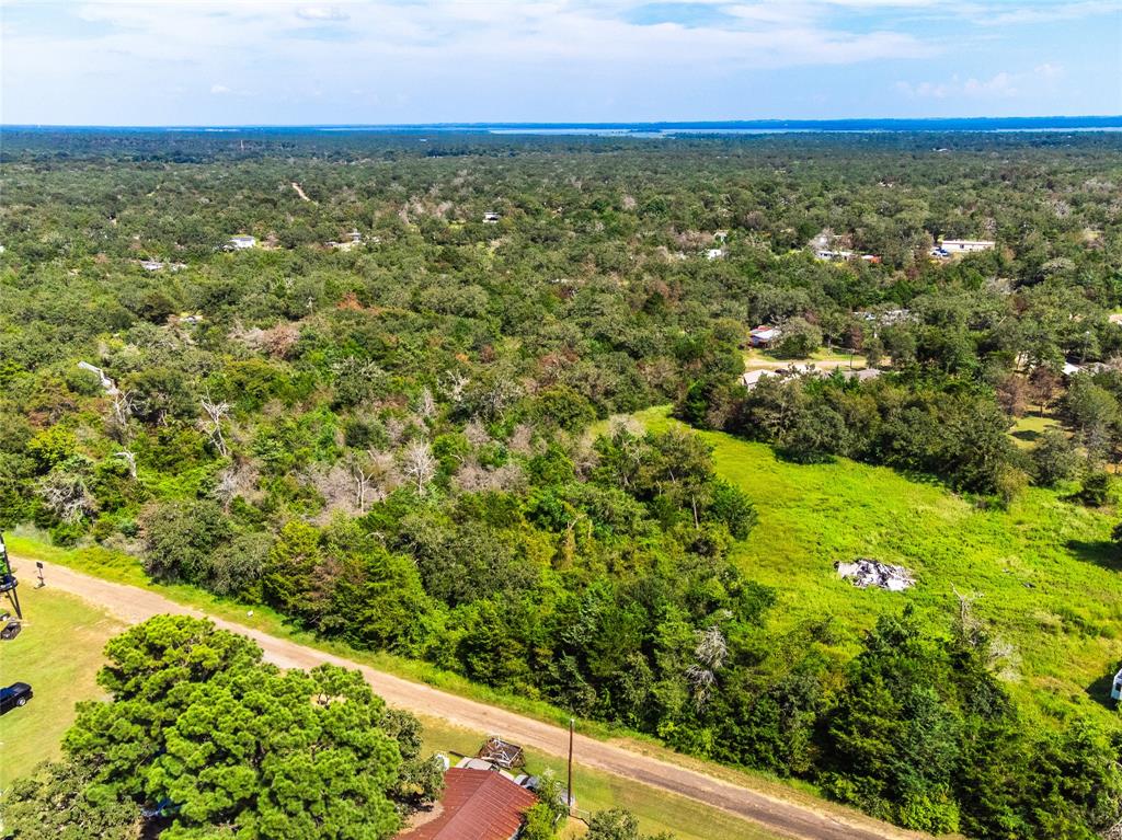 Lot 92 E Lois Lane, Somerville, Texas image 20
