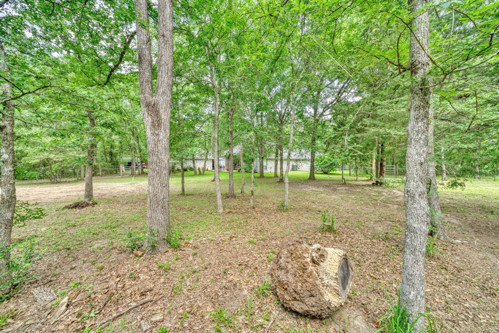 5303 Creek Lane, College Station, Texas image 35