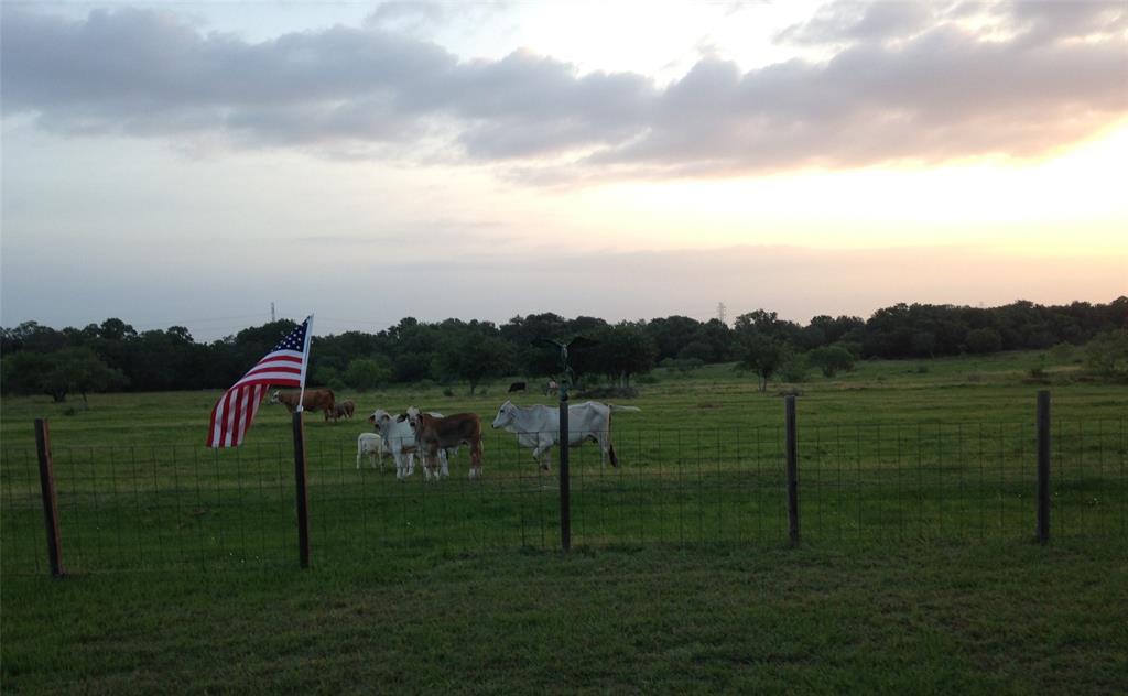 TBD Garrett Road, Yoakum, Texas image 14