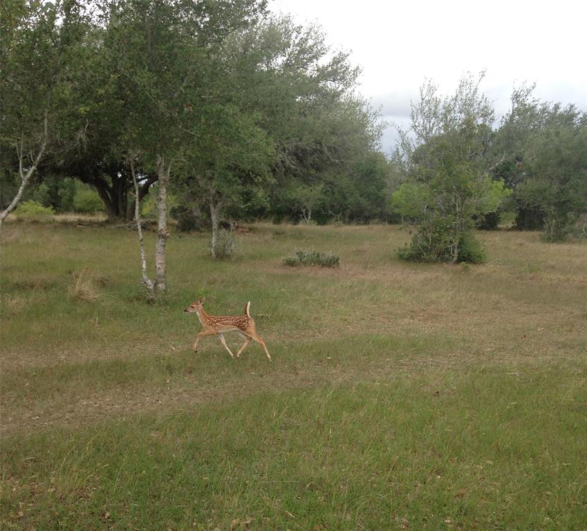 TBD Garrett Road, Yoakum, Texas image 12