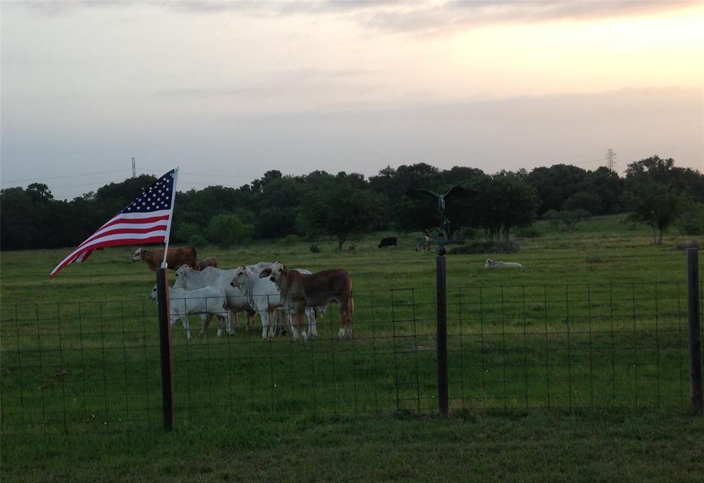 TBD Garrett Road, Yoakum, Texas image 13