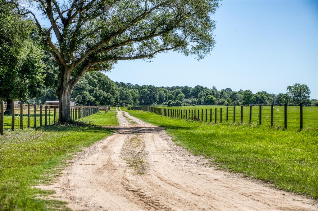 23540 Flavin Lane Road, Hockley, Texas image 6