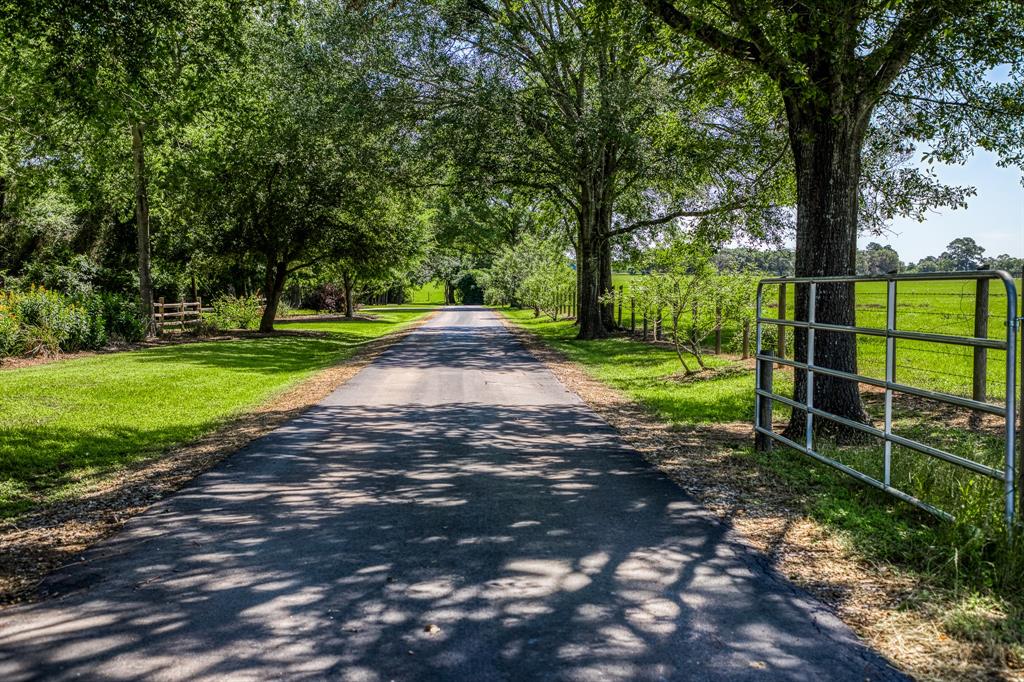 23540 Flavin Lane Road, Hockley, Texas image 4