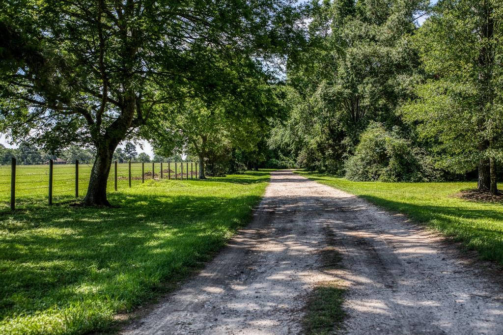 23540 Flavin Lane Road, Hockley, Texas image 5