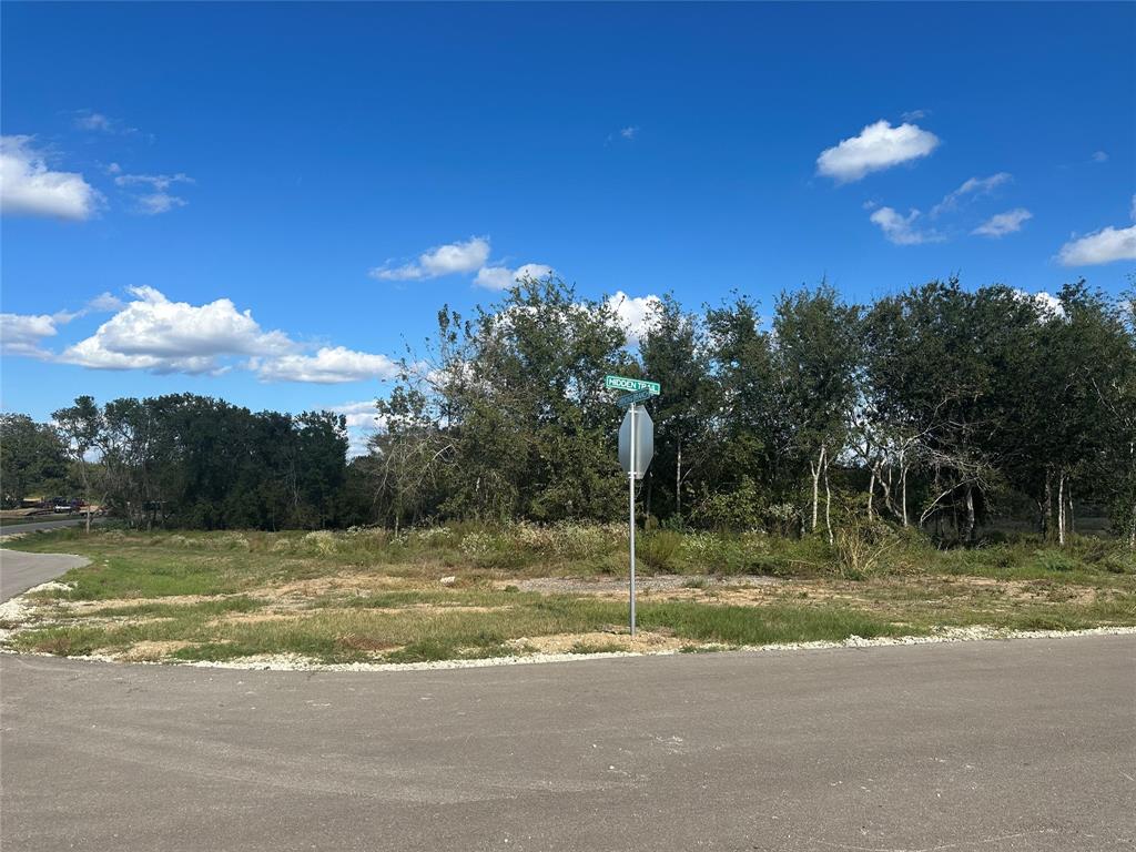 TBD Hidden Trail Lot 44, Chappell Hill, Texas image 12