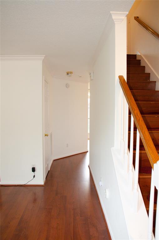 20502 Big Wells Drive, Katy, Texas image 7