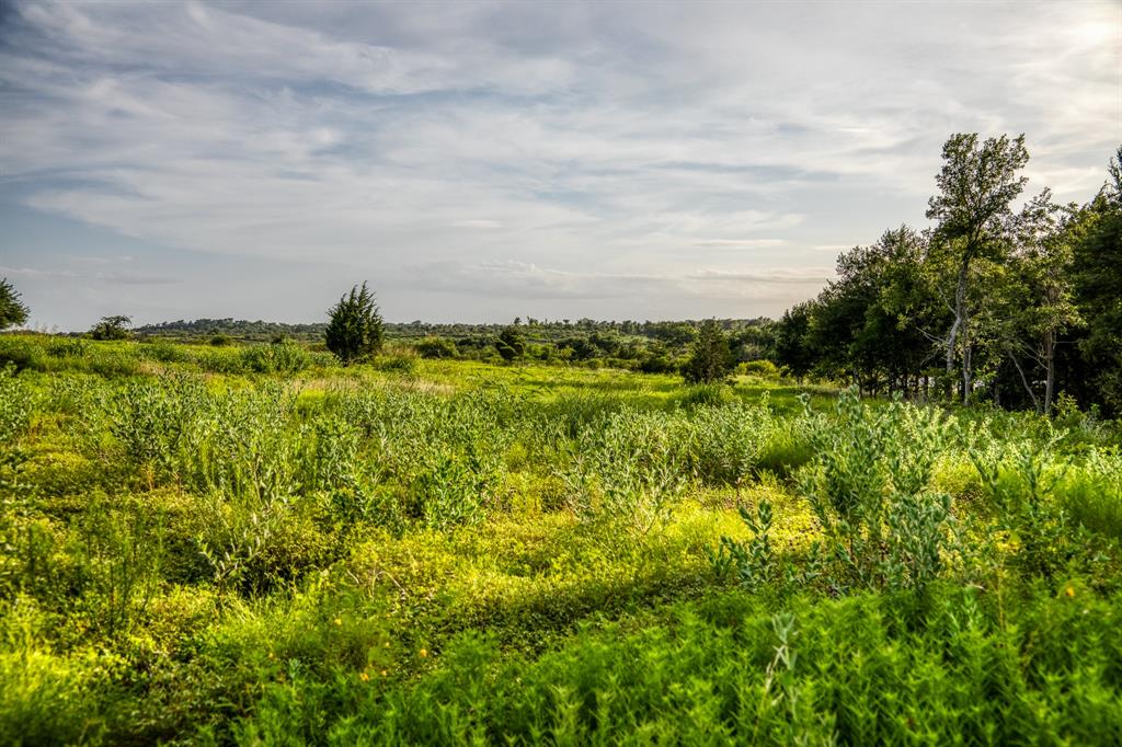 LOT 10 Hargrove Lane, Washington, Texas image 7