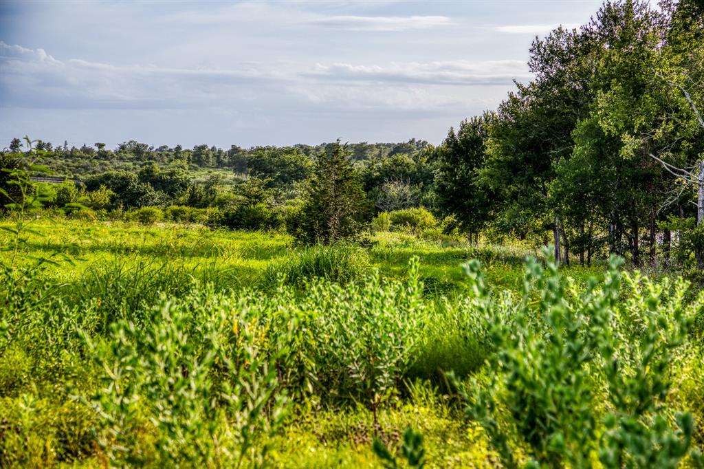 LOT 10 Hargrove Lane, Washington, Texas image 8