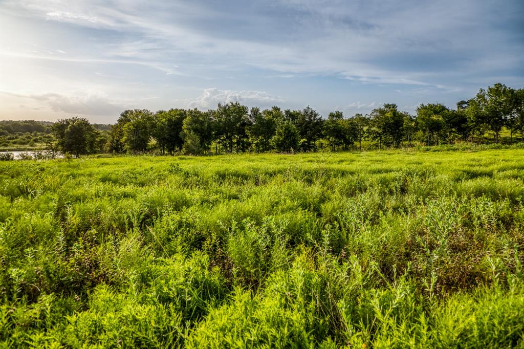 LOT 10 Hargrove Lane, Washington, Texas image 4