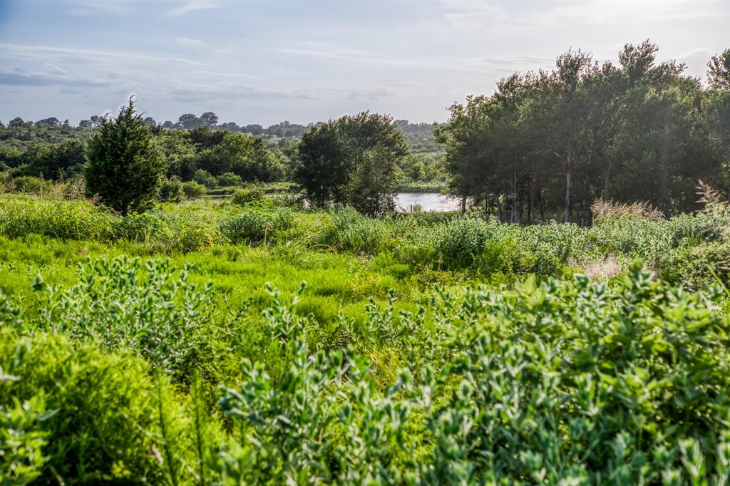 LOT 10 Hargrove Lane, Washington, Texas image 10