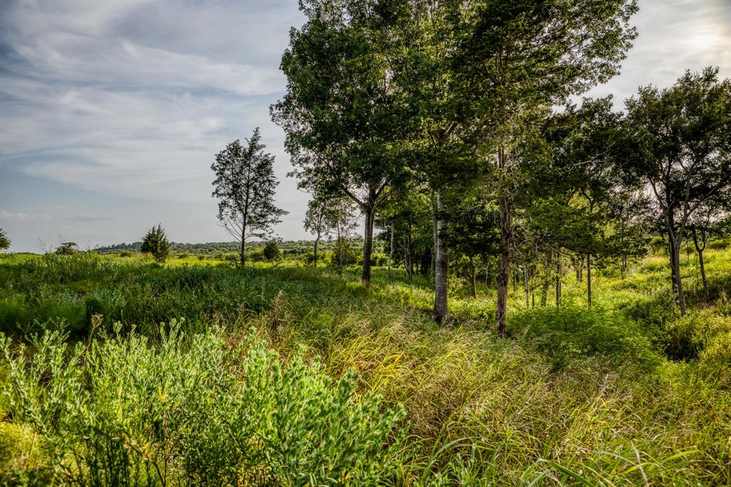 LOT 10 Hargrove Lane, Washington, Texas image 6