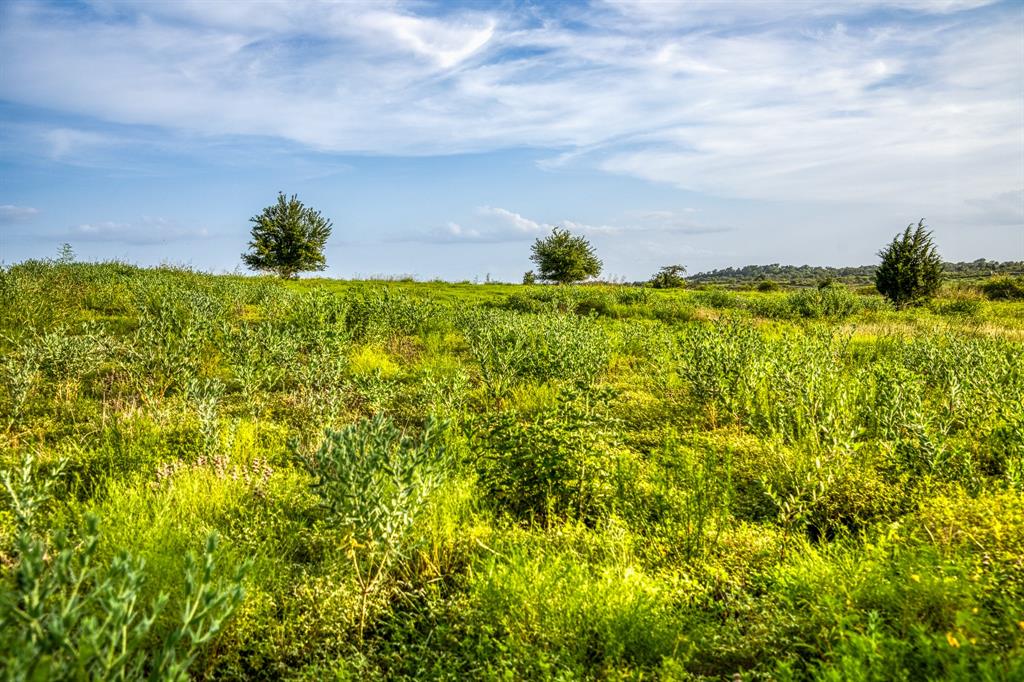 LOT 10 Hargrove Lane, Washington, Texas image 9