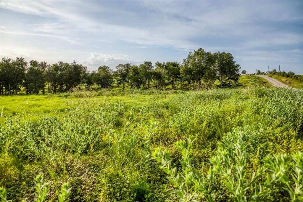 LOT 10 Hargrove Lane, Washington, Texas image 12