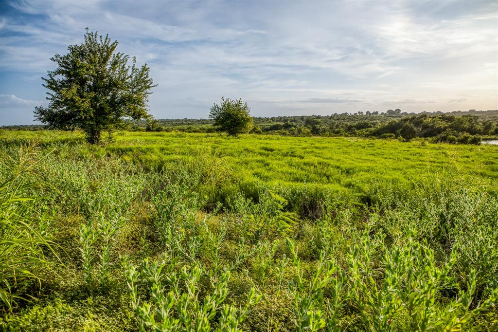 LOT 10 Hargrove Lane, Washington, Texas image 11