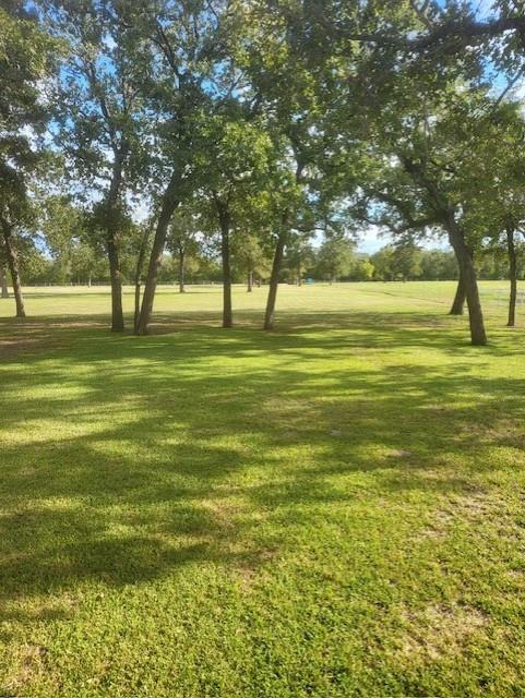 6440 Mockingbird Road, Flatonia, Texas image 8