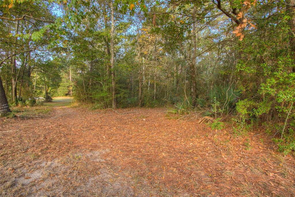 5 W Forest Drive, Huntsville, Texas image 9