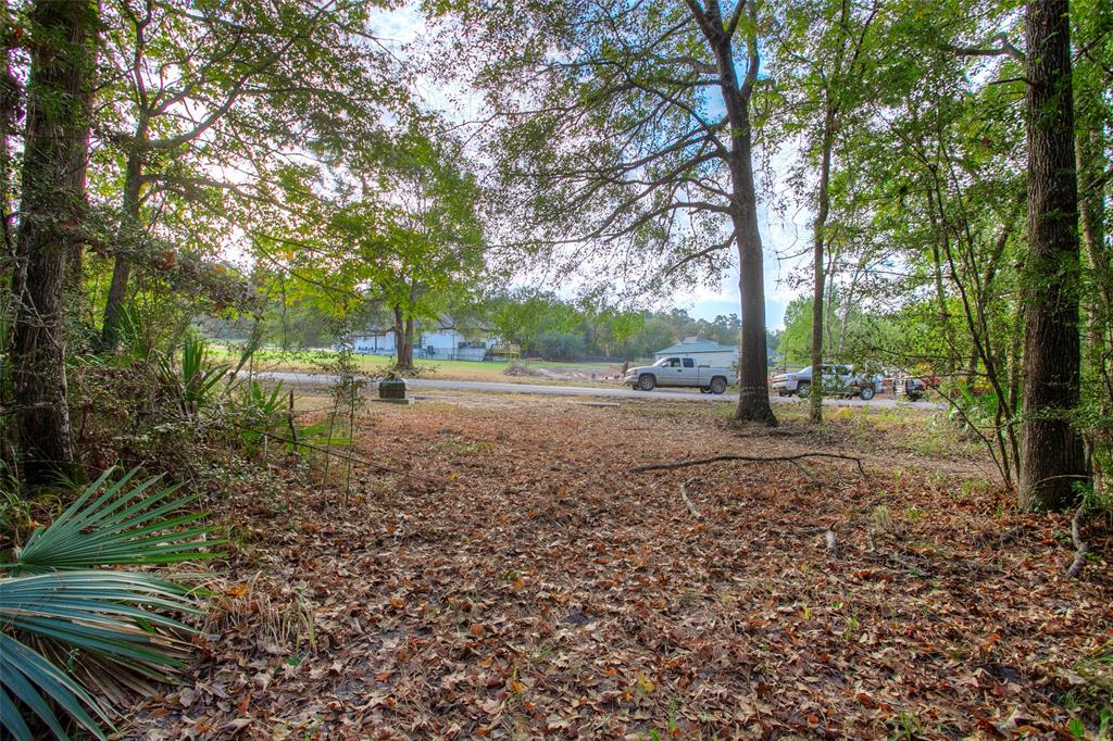 5 W Forest Drive, Huntsville, Texas image 10