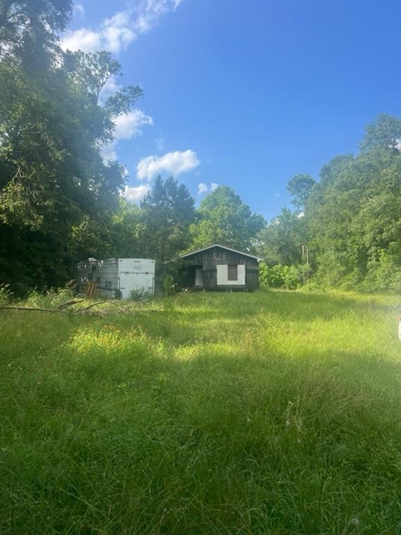 Broze Road, Humble, Texas image 4