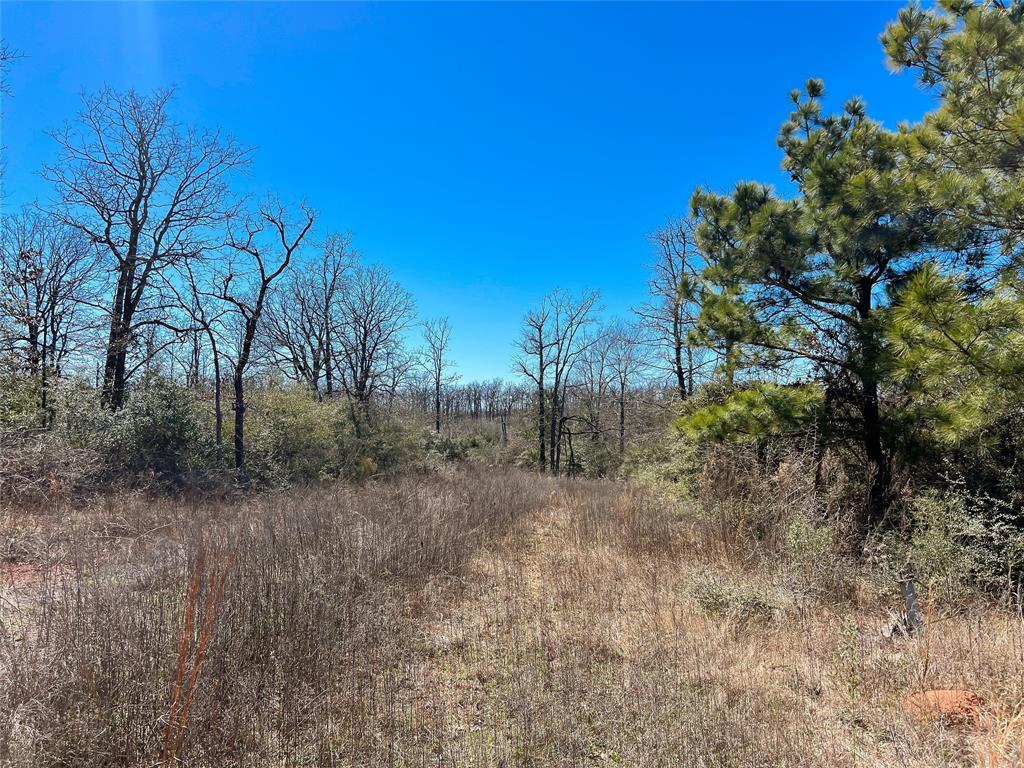Na Cr 392, Jewett, Texas image 3