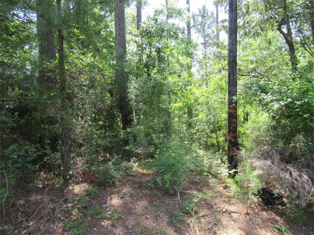 375 Noel, Livingston, Texas image 9