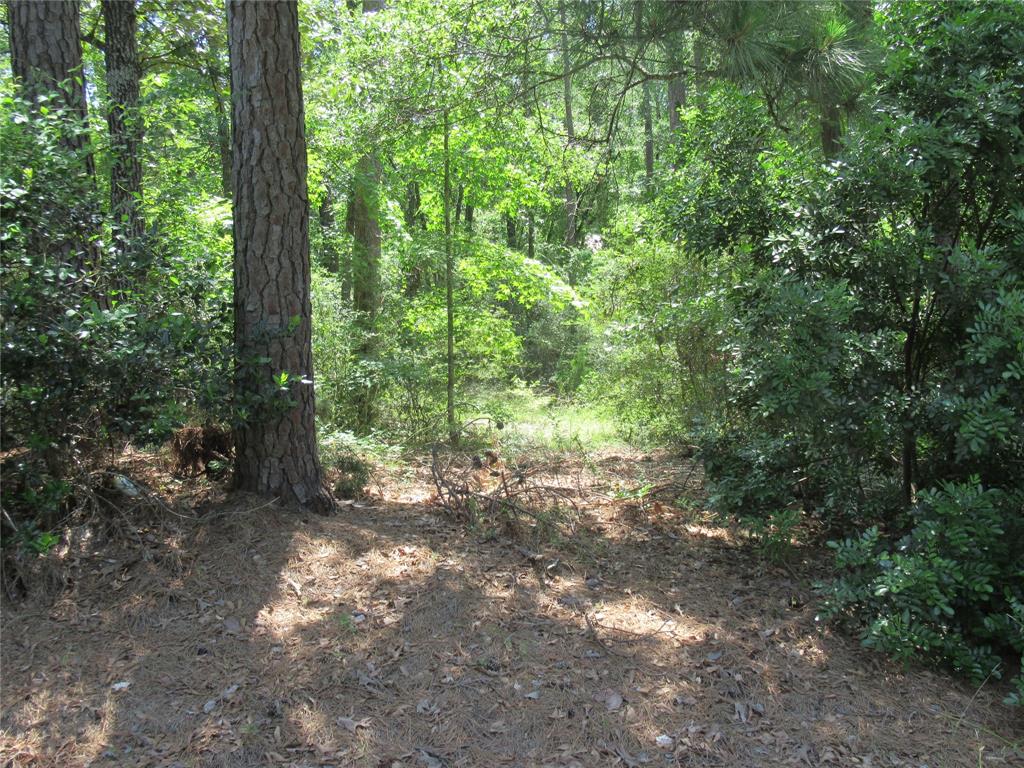 375 Noel, Livingston, Texas image 17
