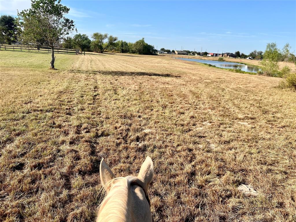 3077 Dees Circle, Sealy, Texas image 48