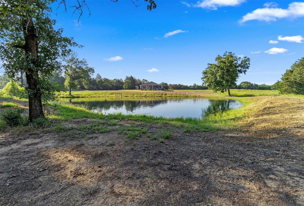 1253 County Road, Lexington, Texas image 9