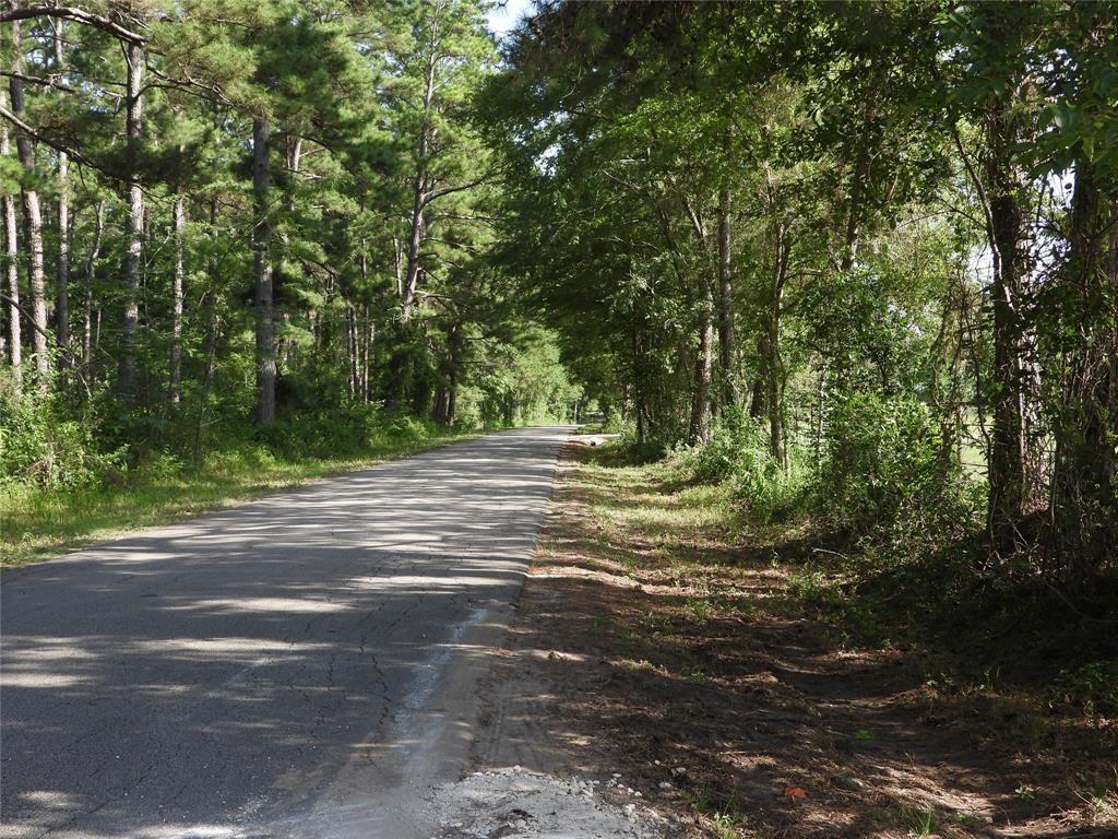 TBD 2 Bethel Road, Richards, Texas image 18