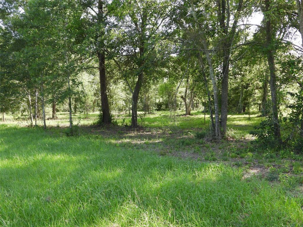 TBD 2 Bethel Road, Richards, Texas image 15