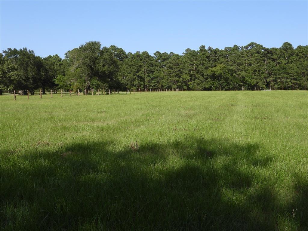 TBD 2 Bethel Road, Richards, Texas image 11