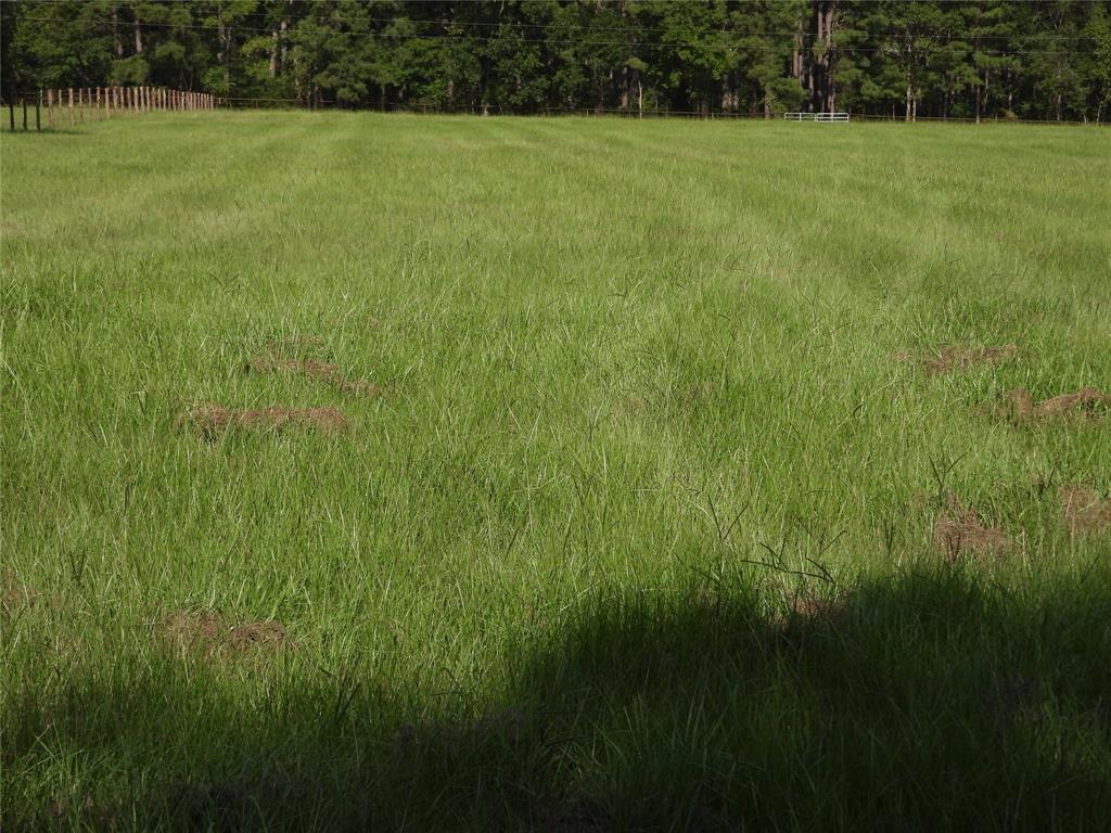 TBD 2 Bethel Road, Richards, Texas image 13