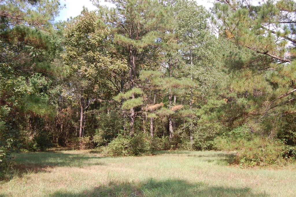 20075 Forestview Drive, Magnolia, Texas image 26