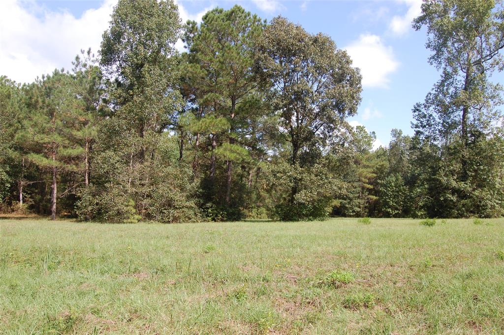 20075 Forestview Drive, Magnolia, Texas image 24