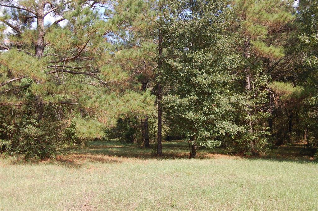 20075 Forestview Drive, Magnolia, Texas image 27
