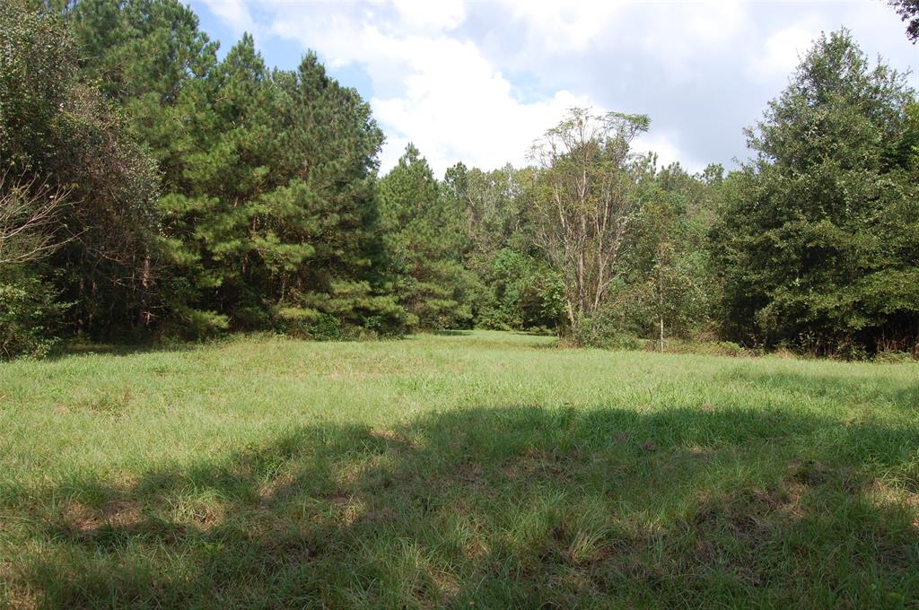 20075 Forestview Drive, Magnolia, Texas image 1