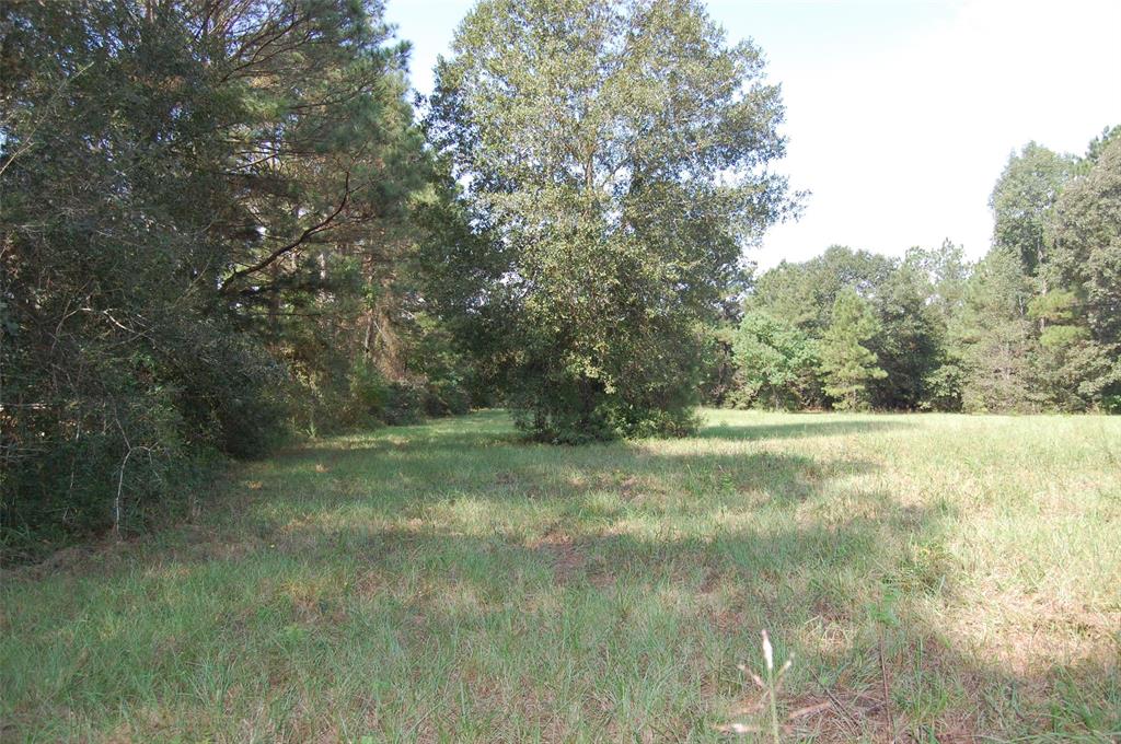 20075 Forestview Drive, Magnolia, Texas image 21