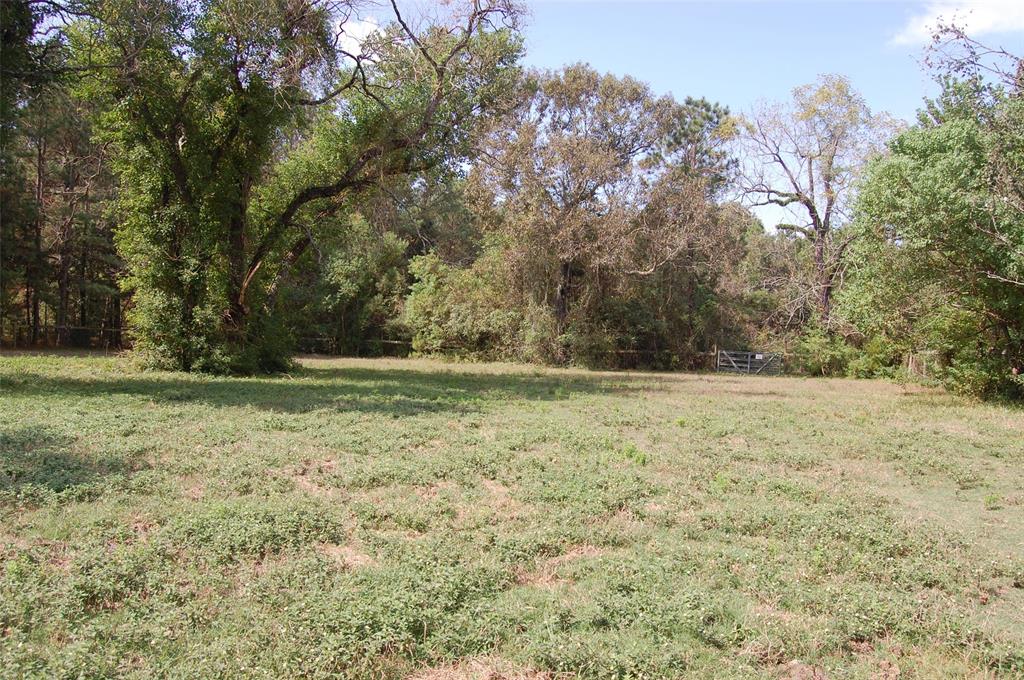 20075 Forestview Drive, Magnolia, Texas image 11