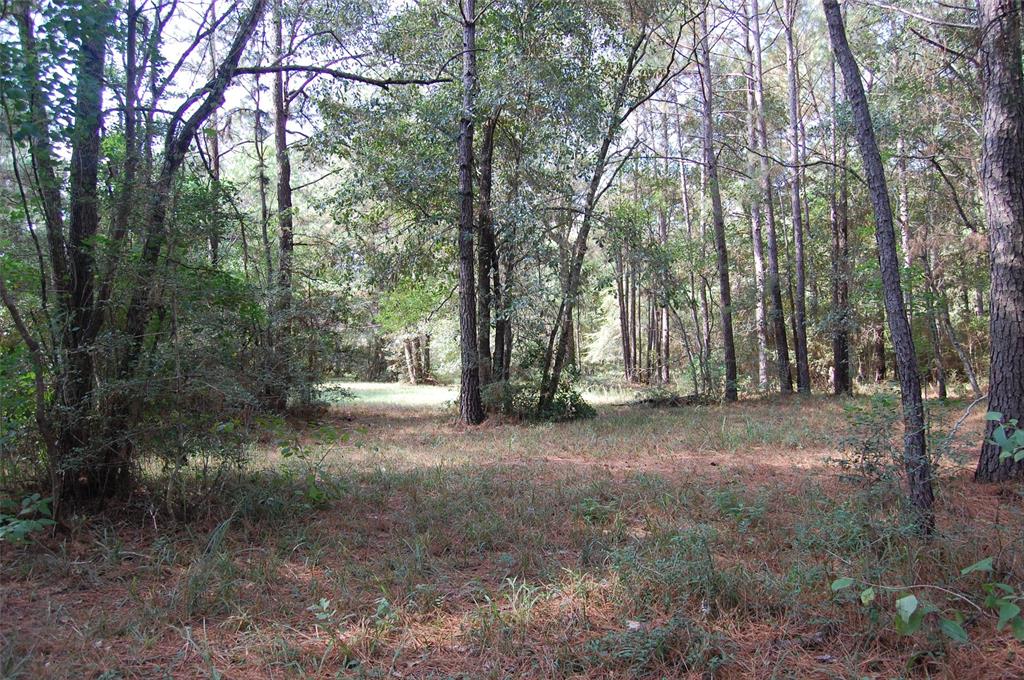 20075 Forestview Drive, Magnolia, Texas image 15
