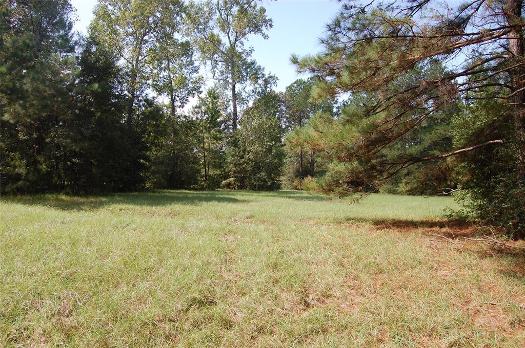 20075 Forestview Drive, Magnolia, Texas image 20