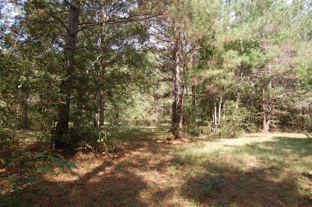 20075 Forestview Drive, Magnolia, Texas image 28