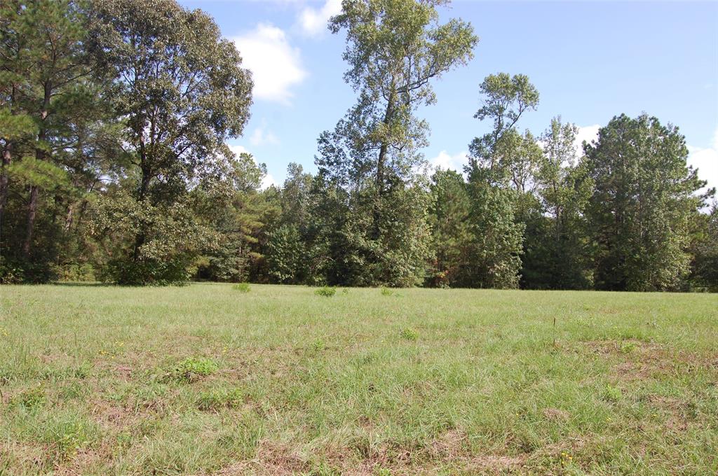 20075 Forestview Drive, Magnolia, Texas image 23