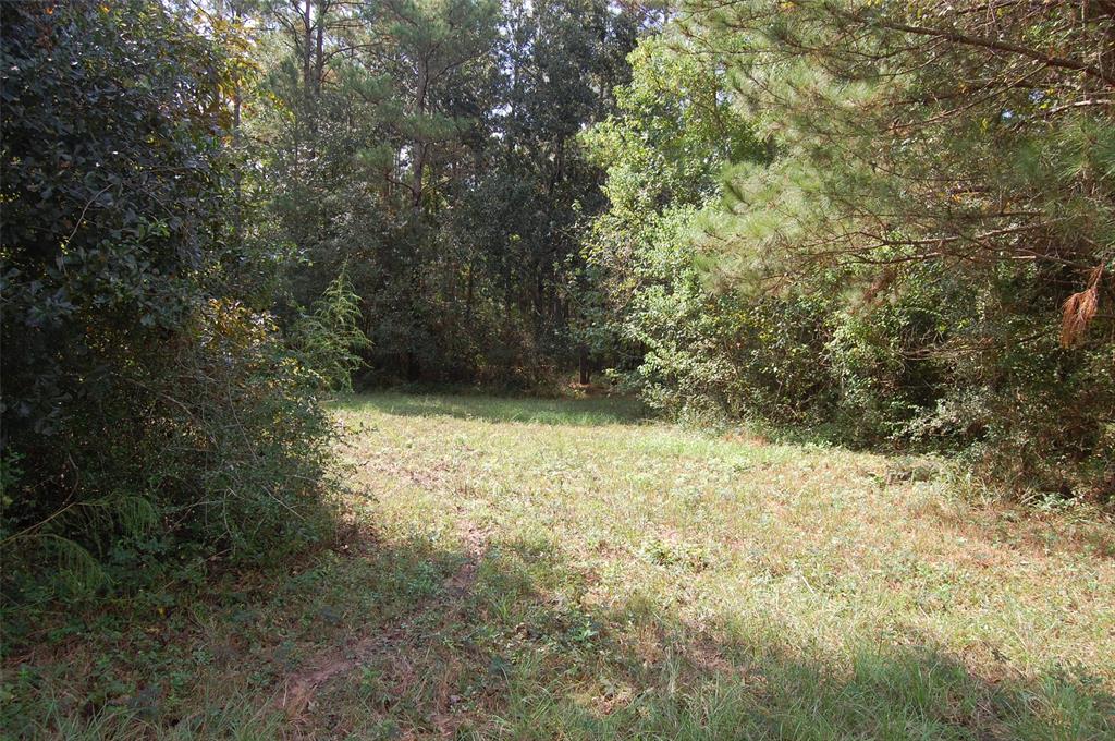 20075 Forestview Drive, Magnolia, Texas image 13