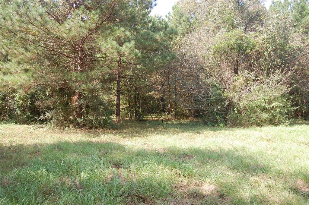 20075 Forestview Drive, Magnolia, Texas image 12