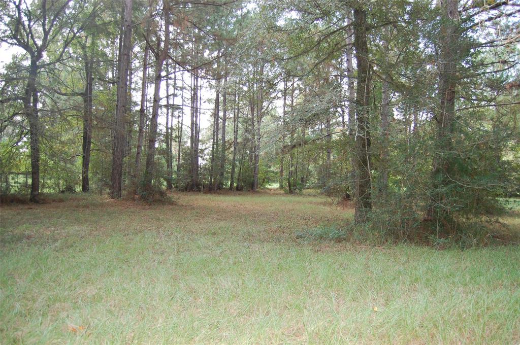 20075 Forestview Drive, Magnolia, Texas image 18